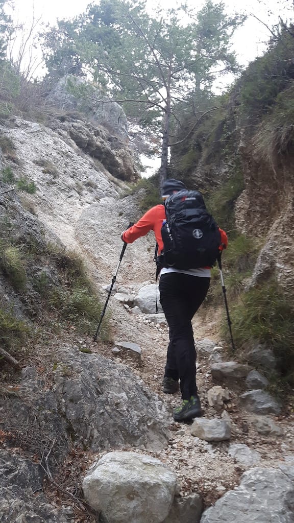 Cima Al Bal, Cima Nara, Punta Larici - foto 1