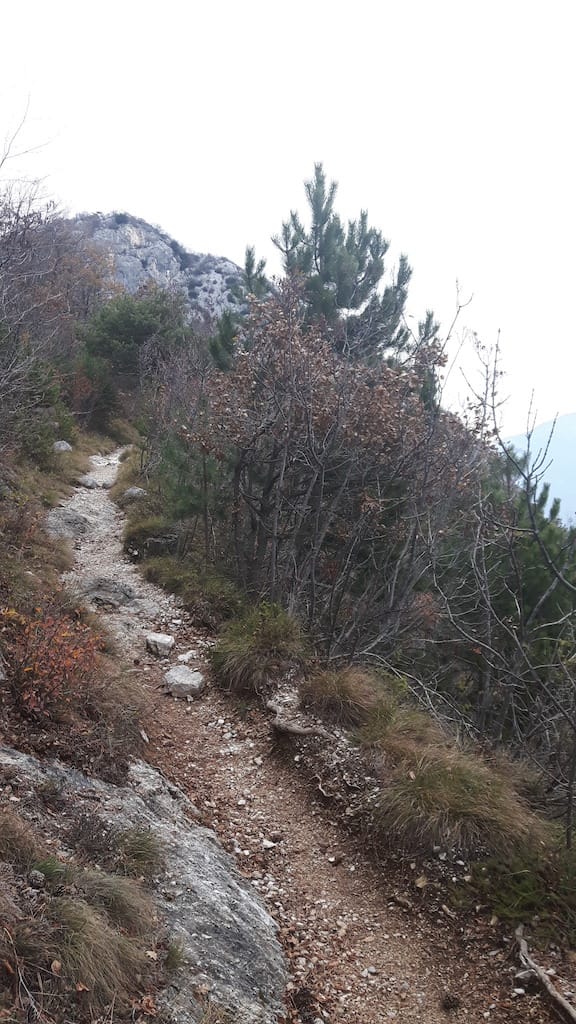 Cima Al Bal, Cima Nara, Punta Larici - foto 2
