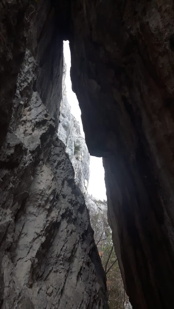 Cima Al Bal, Cima Nara, Punta Larici - foto 3