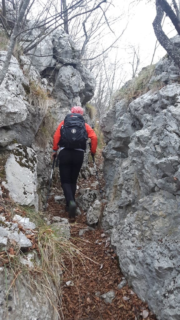 Cima Al Bal, Cima Nara, Punta Larici - foto 6