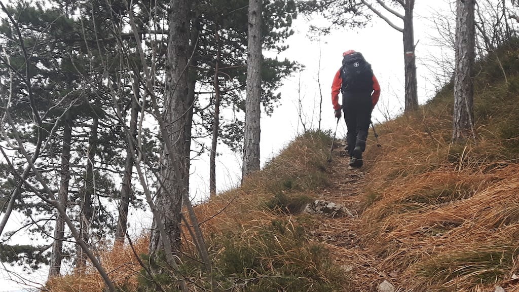 Cima Al Bal, Cima Nara, Punta Larici - foto 8