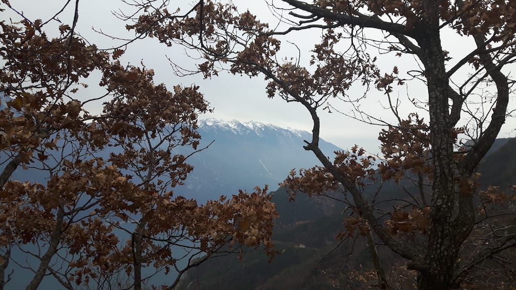 Cima Al Bal, Cima Nara, Punta Larici - foto 9