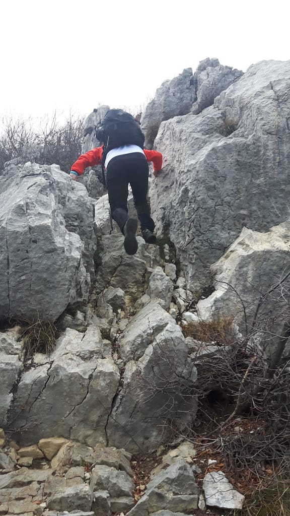 Cima Al Bal, Cima Nara, Punta Larici - foto 10