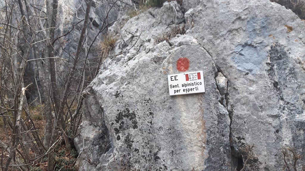 Cima Al Bal, Cima Nara, Punta Larici - foto 11