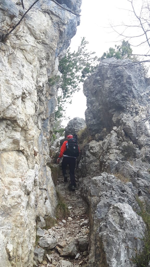 Cima Al Bal, Cima Nara, Punta Larici - foto 12