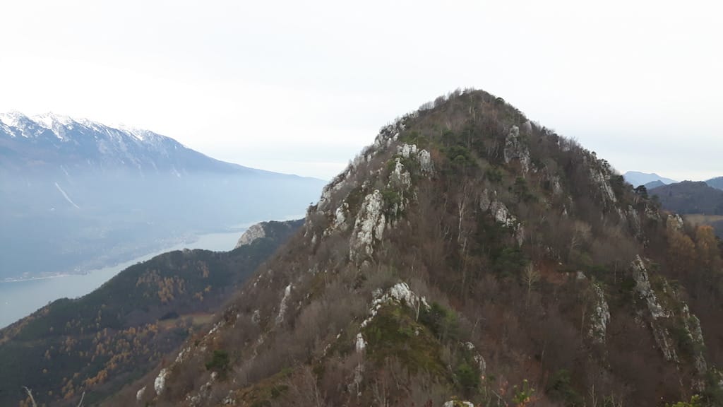 Cima Al Bal, Cima Nara, Punta Larici - foto 16