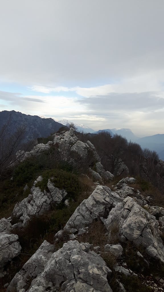 Cima Al Bal, Cima Nara, Punta Larici - foto 19