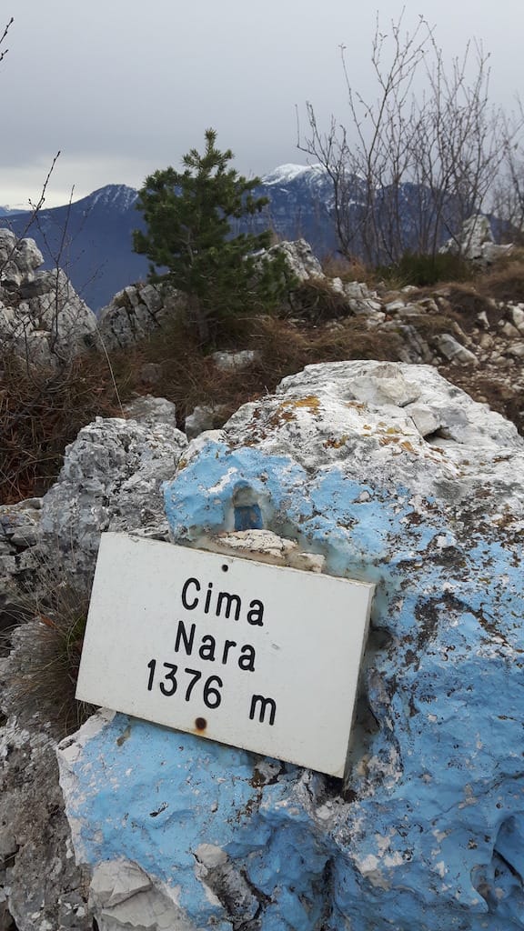 Cima Al Bal, Cima Nara, Punta Larici - foto 20