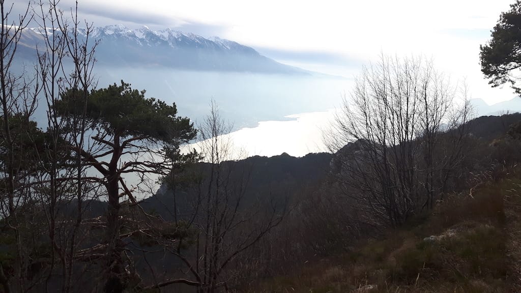 Cima Al Bal, Cima Nara, Punta Larici - foto 24