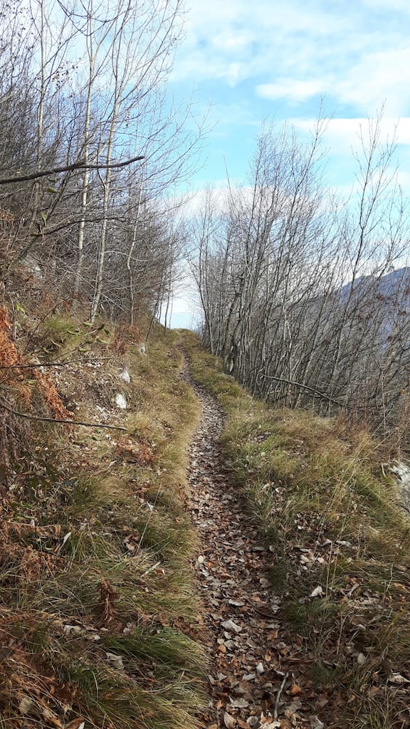 Cima Al Bal, Cima Nara, Punta Larici - foto 28