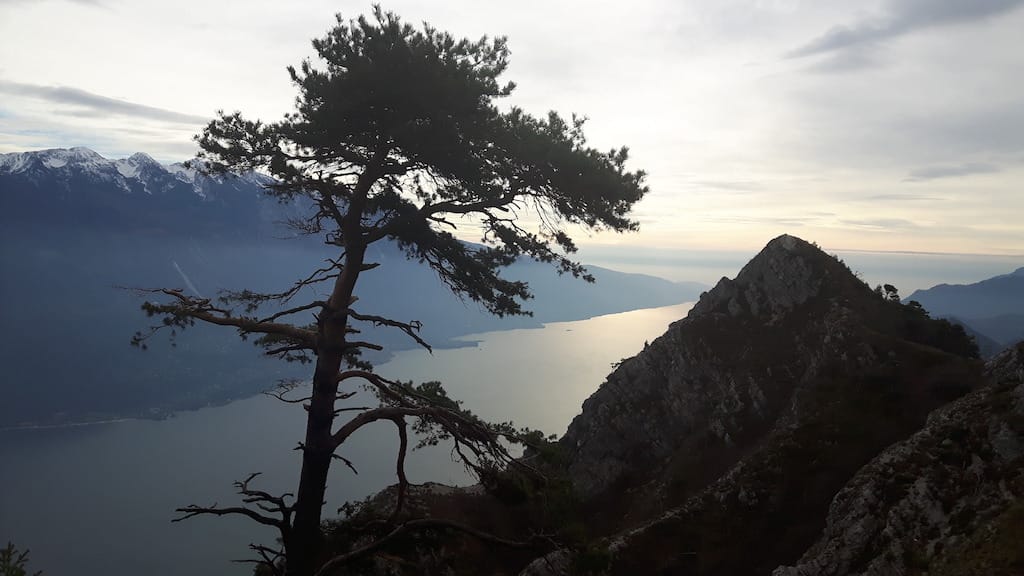 Cima Al Bal, Cima Nara, Punta Larici - foto 29