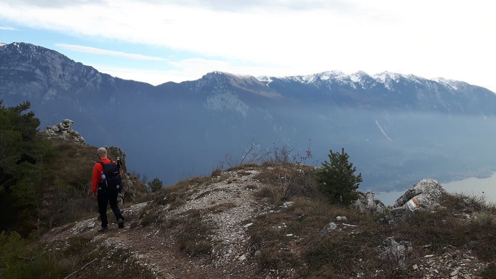 Cima Al Bal, Cima Nara, Punta Larici - foto 30