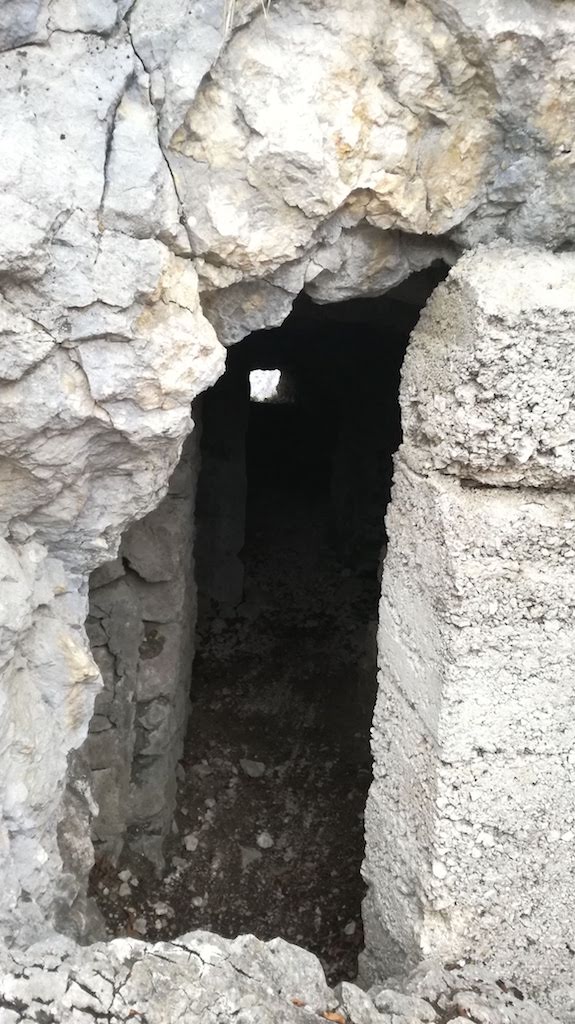 Cima Al Bal, Cima Nara, Punta Larici - foto 32
