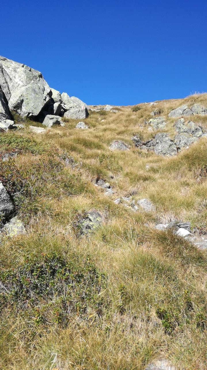 Cima Laione - foto 8