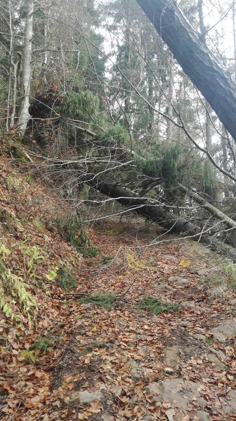 Cima Pissola - foto 2