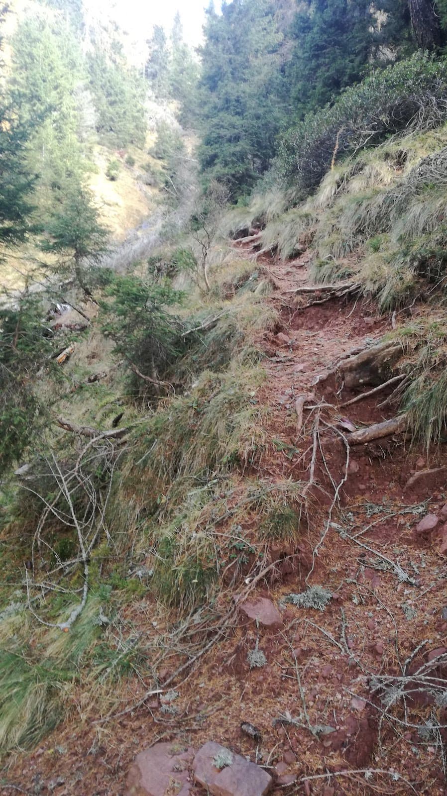 Cima Pissola - foto 7