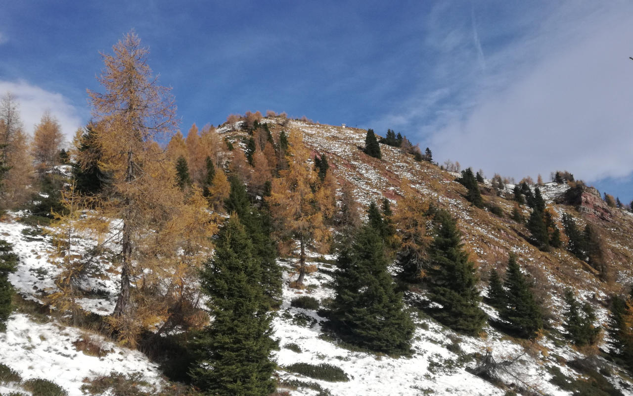 Cima Pissola