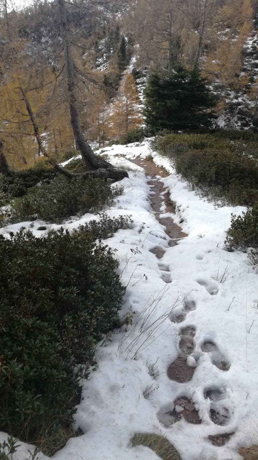 Cima Pissola - foto 11