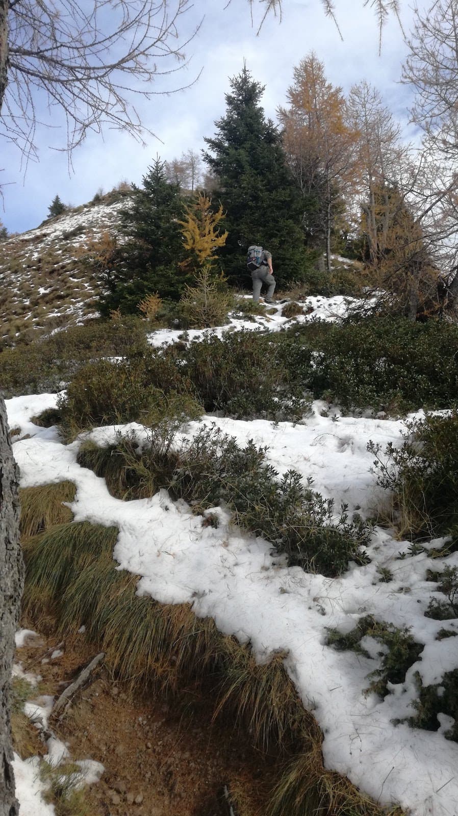 Cima Pissola - foto 12