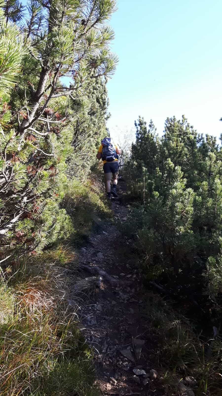 Cima Valdritta - foto 17