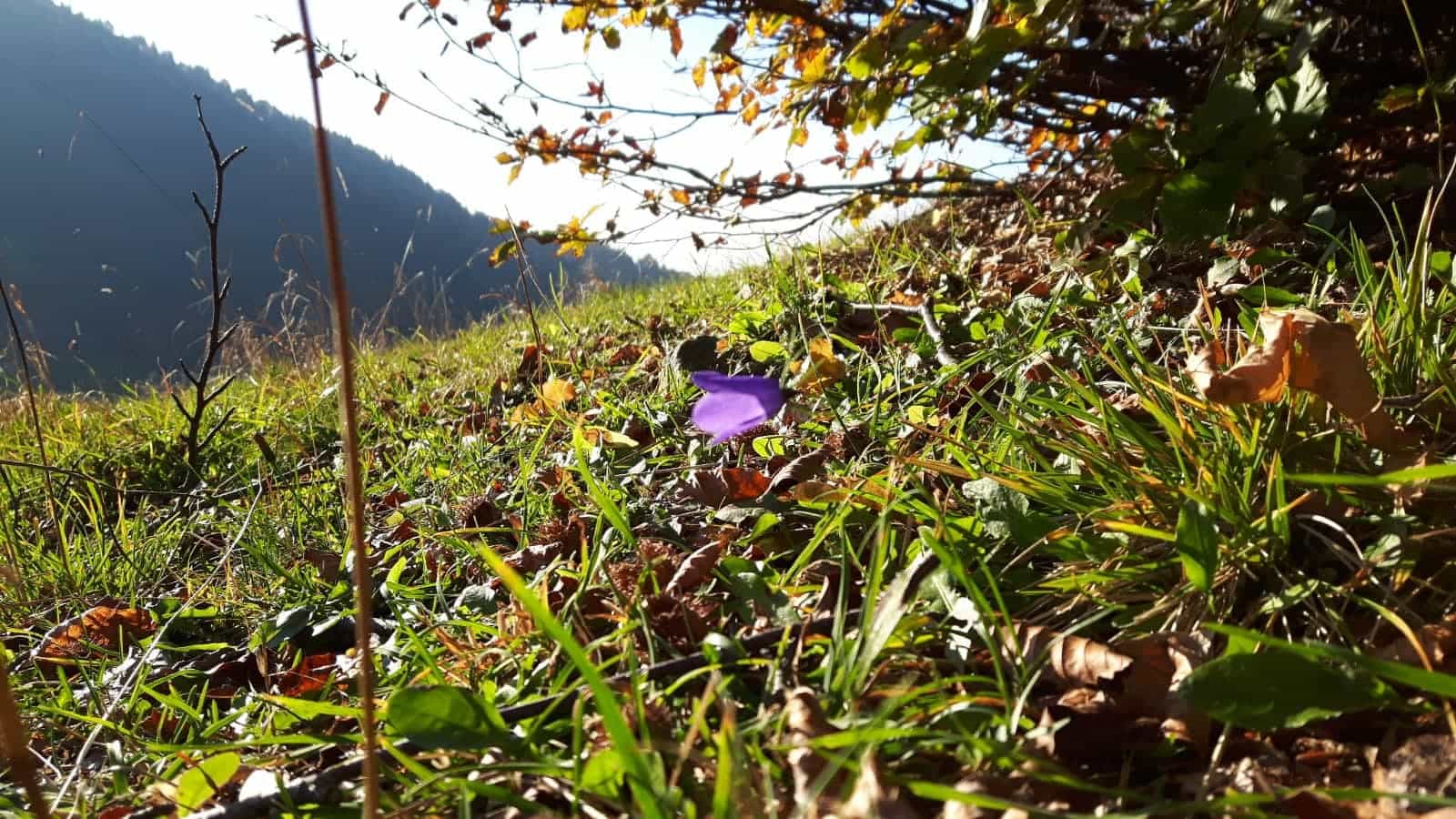 Cima Valdritta - foto 18