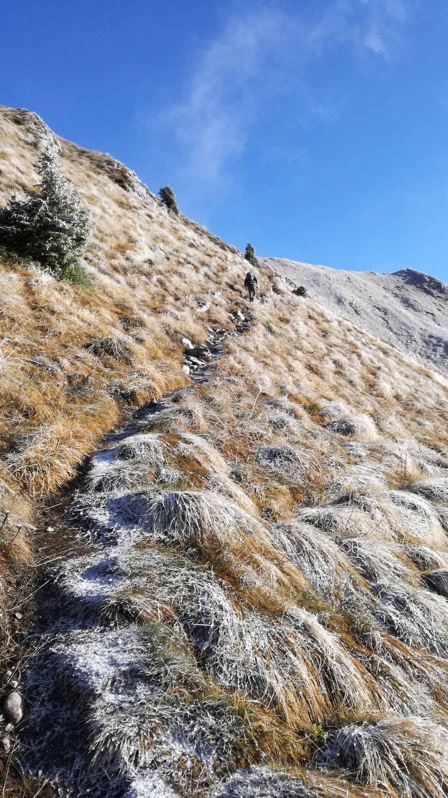 Dosso Alto - foto 11