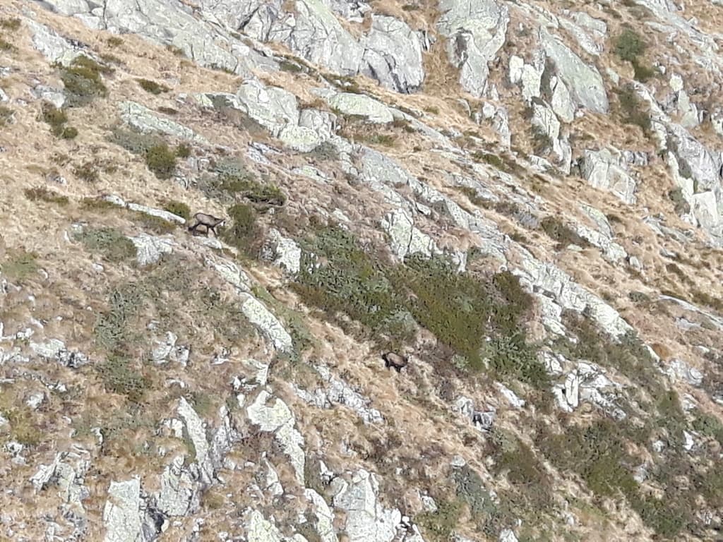 Giro dei 5 Laghi e Monte Serodoli - foto 10
