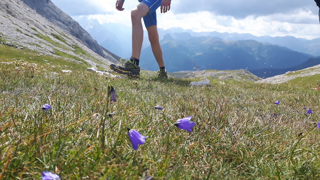 Giro del Sassolungo e Sassopiatto - foto 24