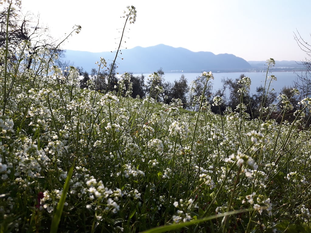 Monte Bronzone - foto 3