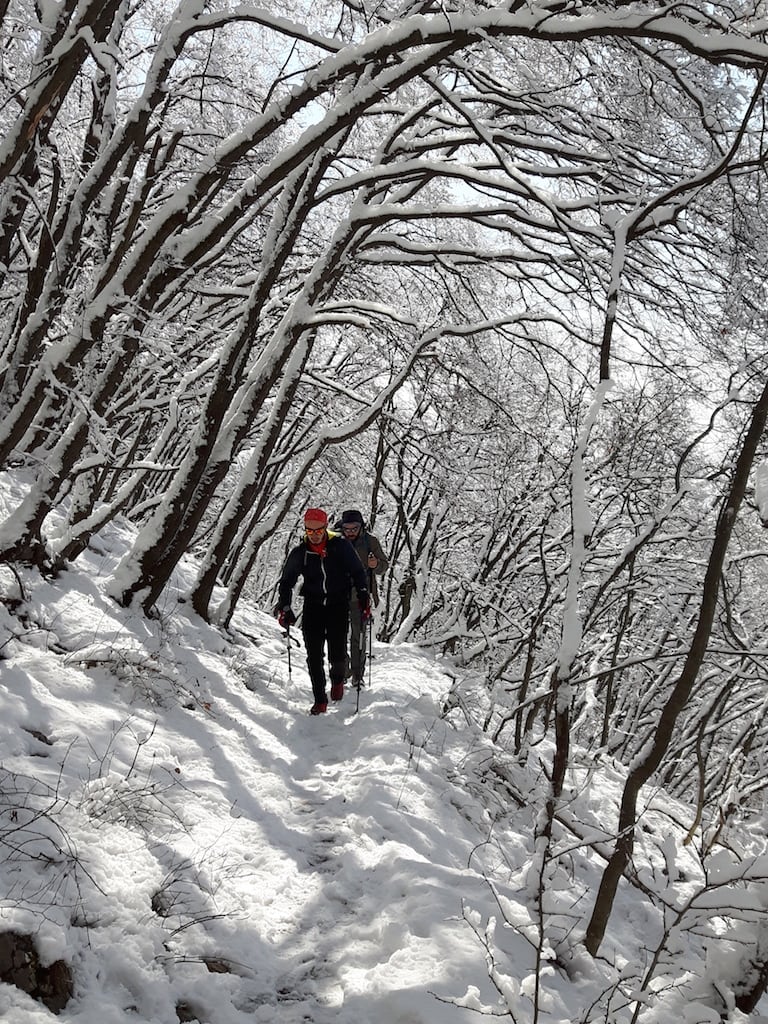 Monte Bronzone - foto 6
