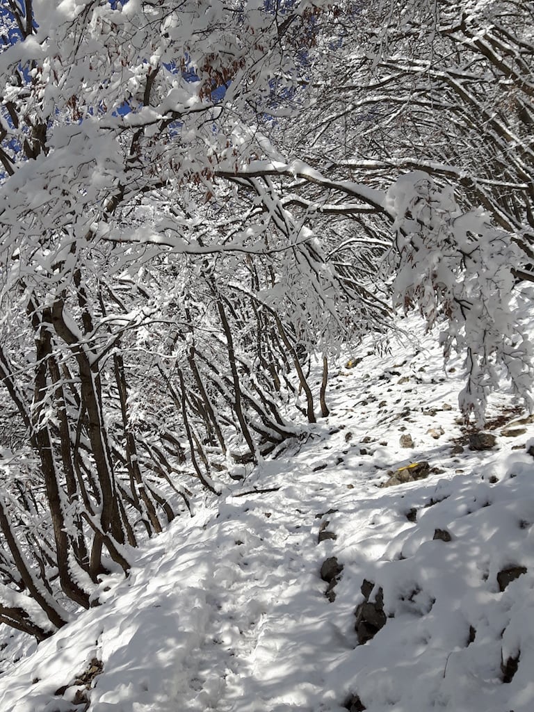 Monte Bronzone - foto 5