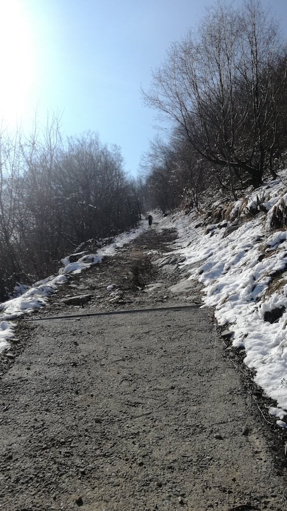 Monte Bronzone - foto 2