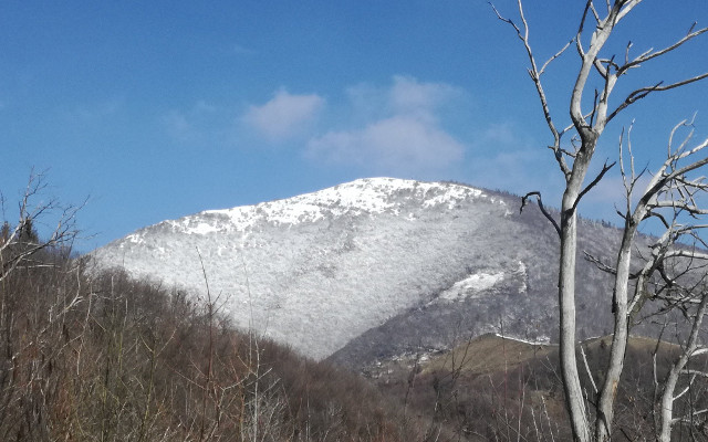 Monte Bronzone