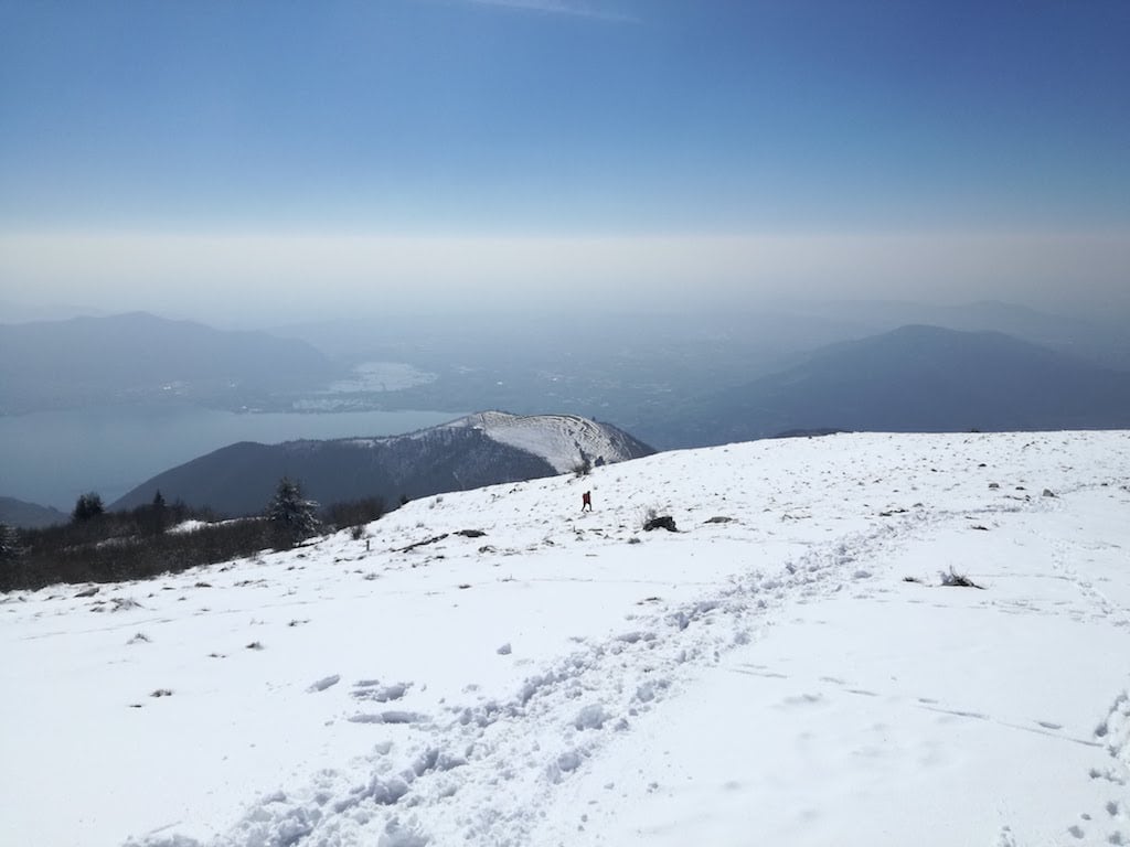Monte Bronzone - foto 8