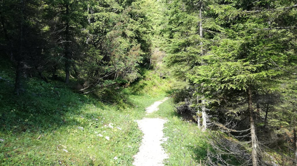 Monte Cadria - foto 2