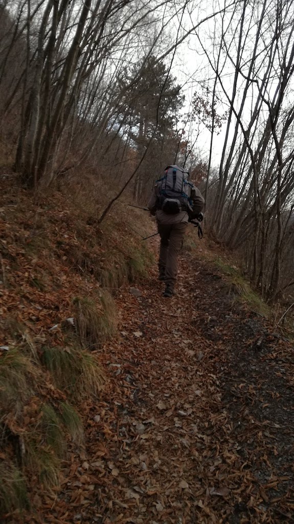 Monte Censo e Cima Valcaelli - foto 2