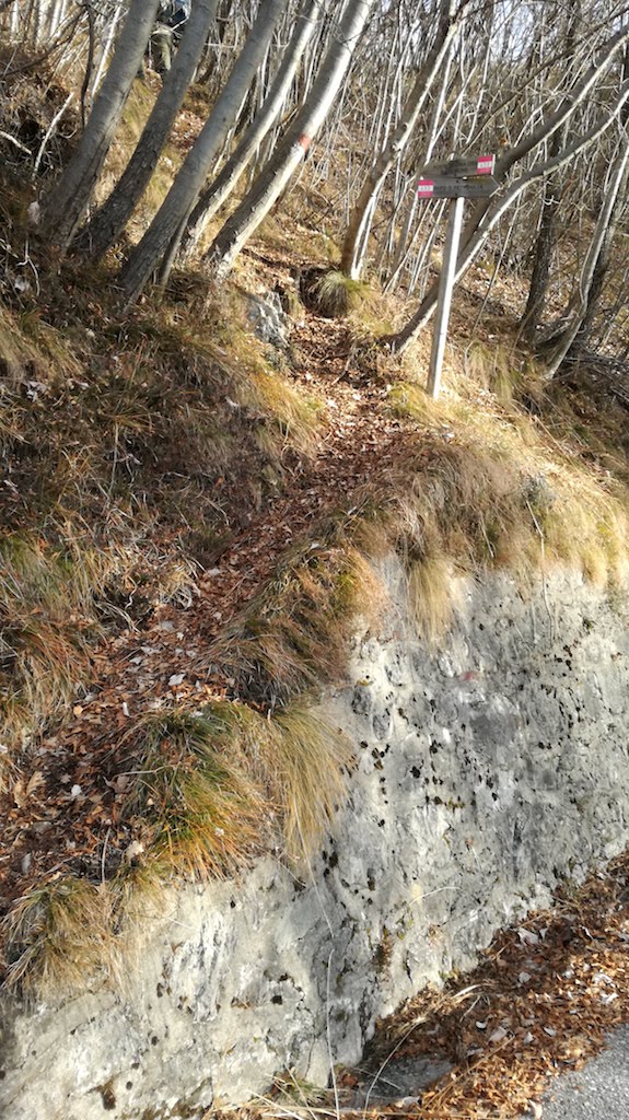 Monte Censo e Cima Valcaelli - foto 7