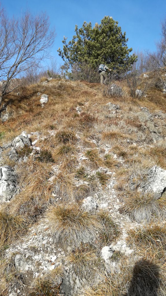 Monte Censo e Cima Valcaelli - foto 10