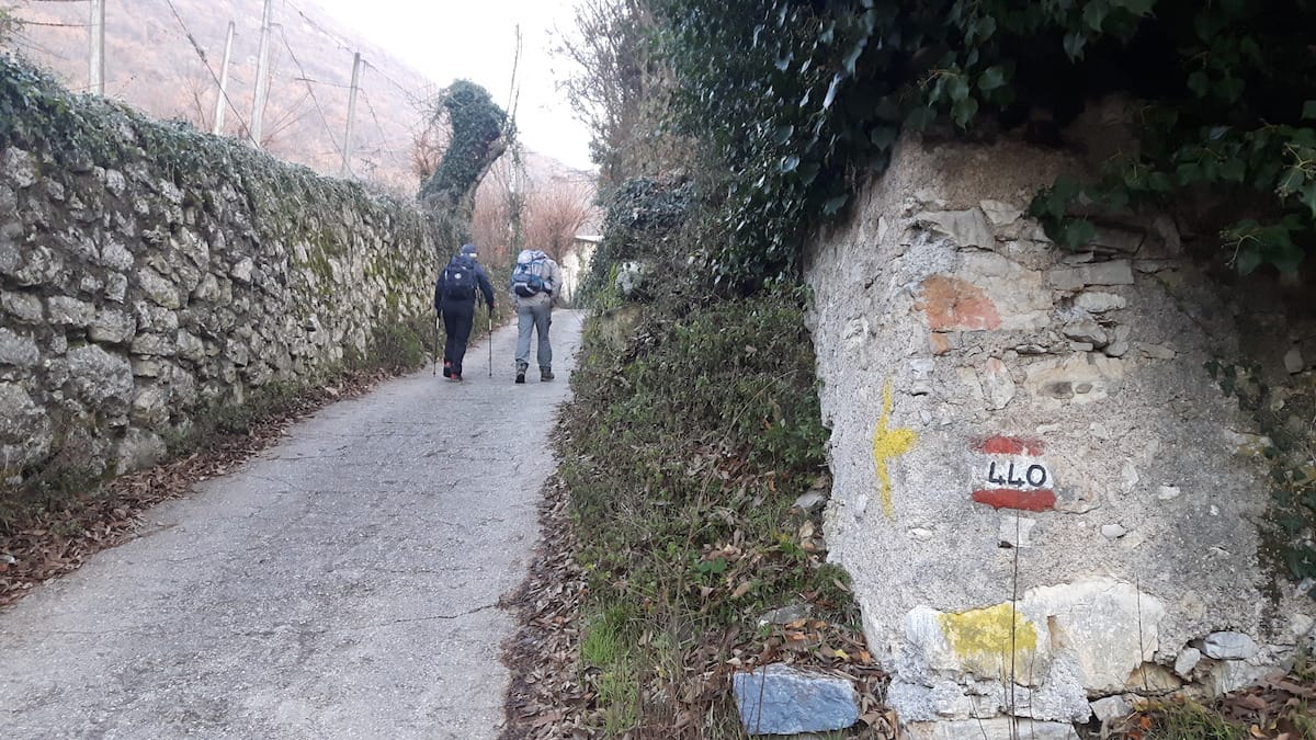 Monte Conche - foto 2