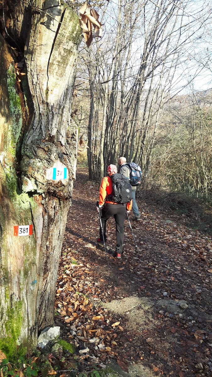 Monte Conche - foto 5