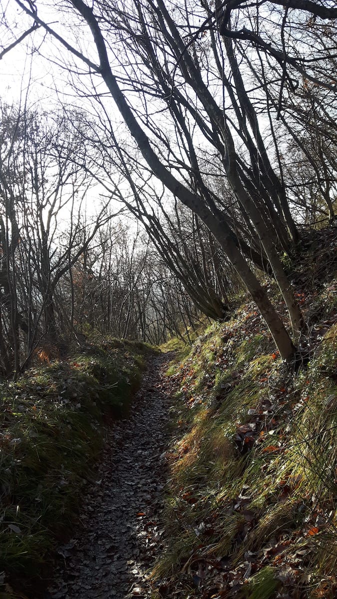Monte Conche - foto 6