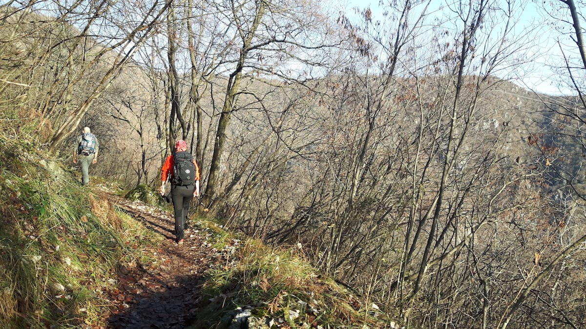 Monte Conche - foto 7
