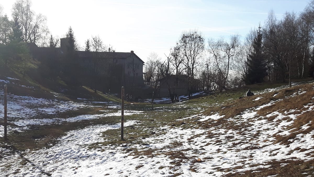 Monte Conche - foto 13