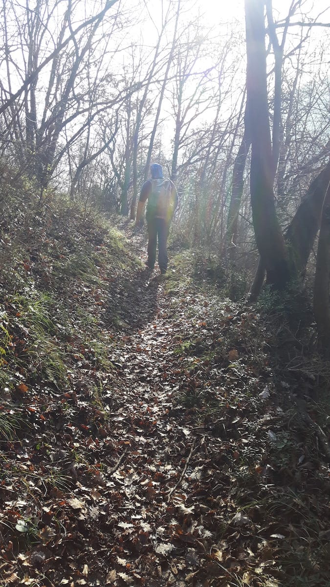 Monte Conche - foto 20
