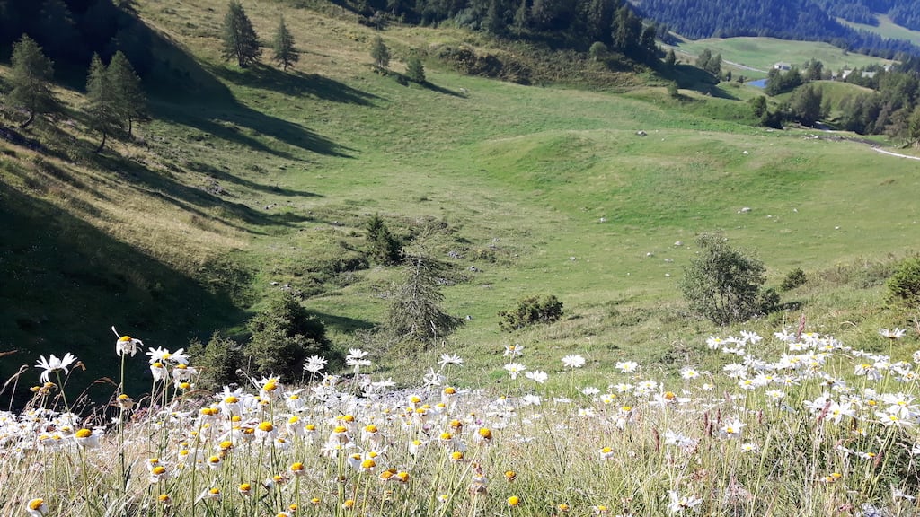 Monte Frerone - foto 2