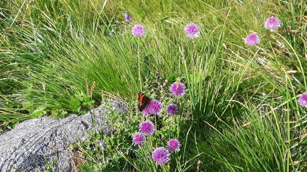 Monte Frerone - foto 7
