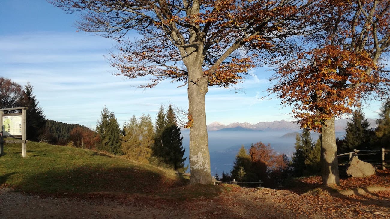 Monte Guglielmo da Passabocche - foto 4