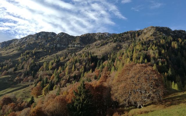 Monte Guglielmo da Passabocche