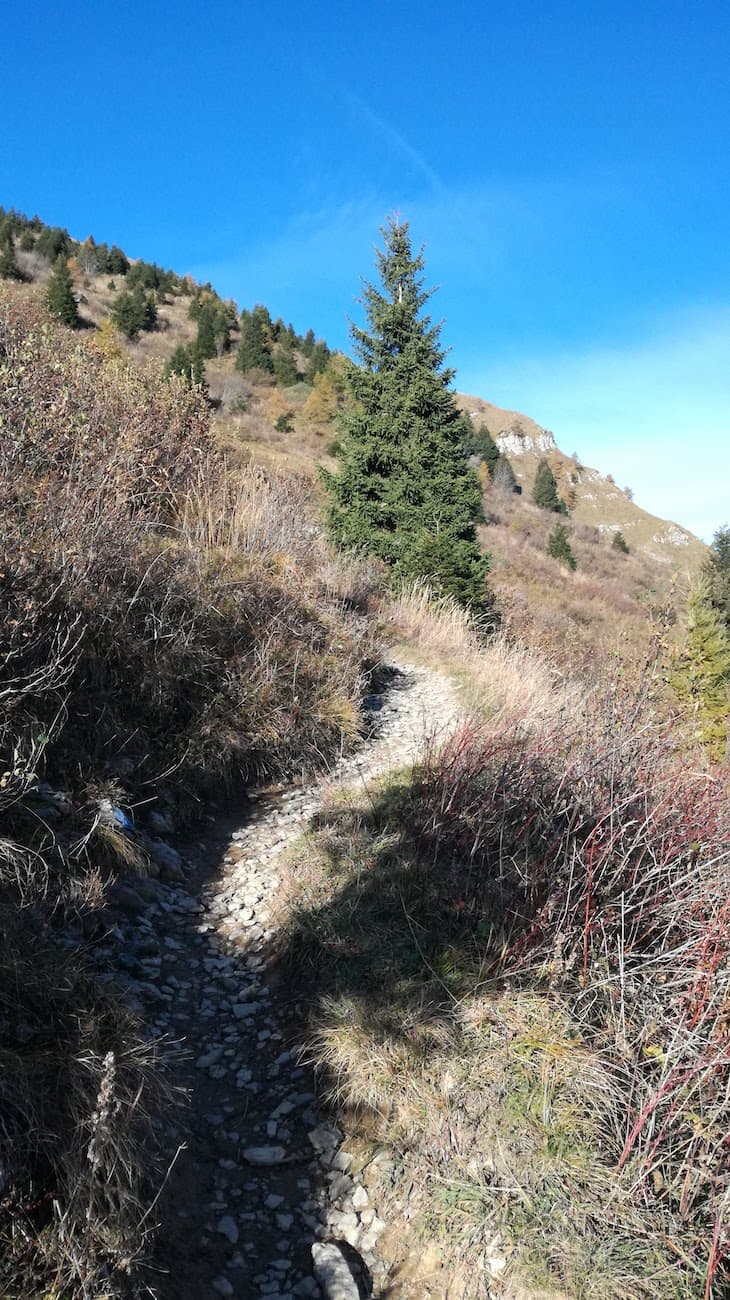 Monte Guglielmo da Passabocche - foto 9