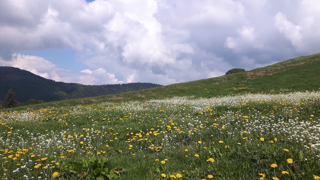 Monte Guglielmo da Pezzoro - foto 9